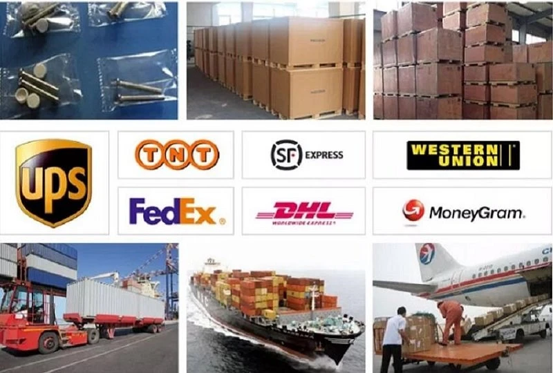 packing shipping packing shipping